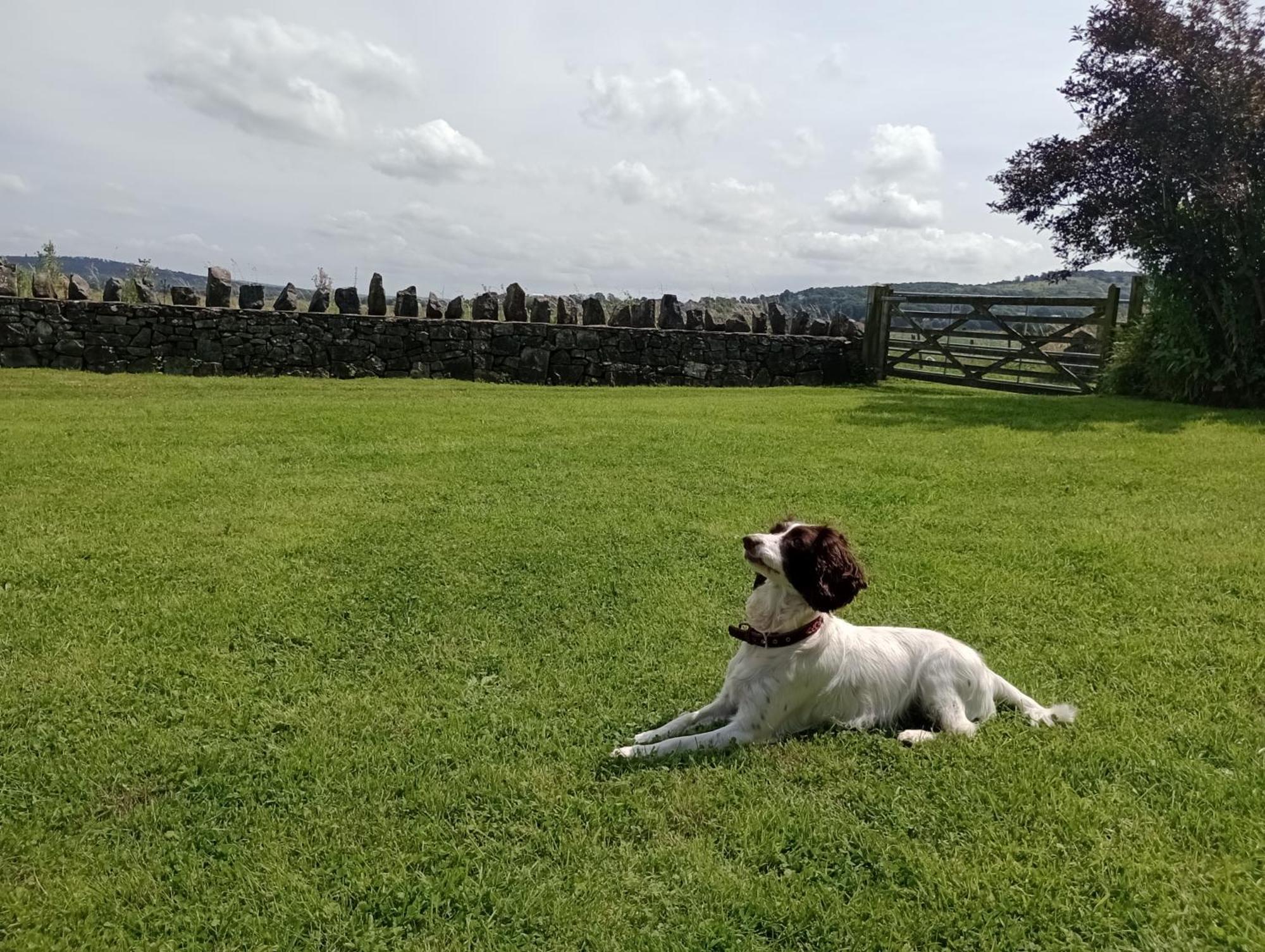 Sunnyside Farm Villa Grange-over-Sands Kültér fotó
